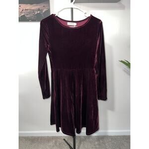 Purple long-sleeve velvet fit and flare  Dress sz S